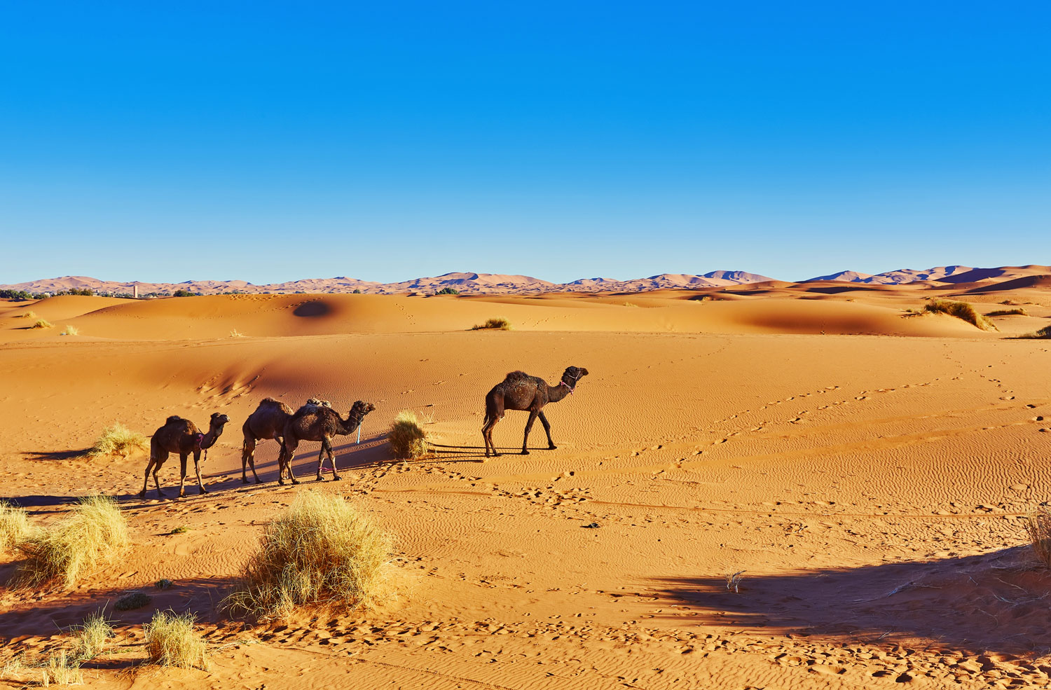 Marocco del Nord