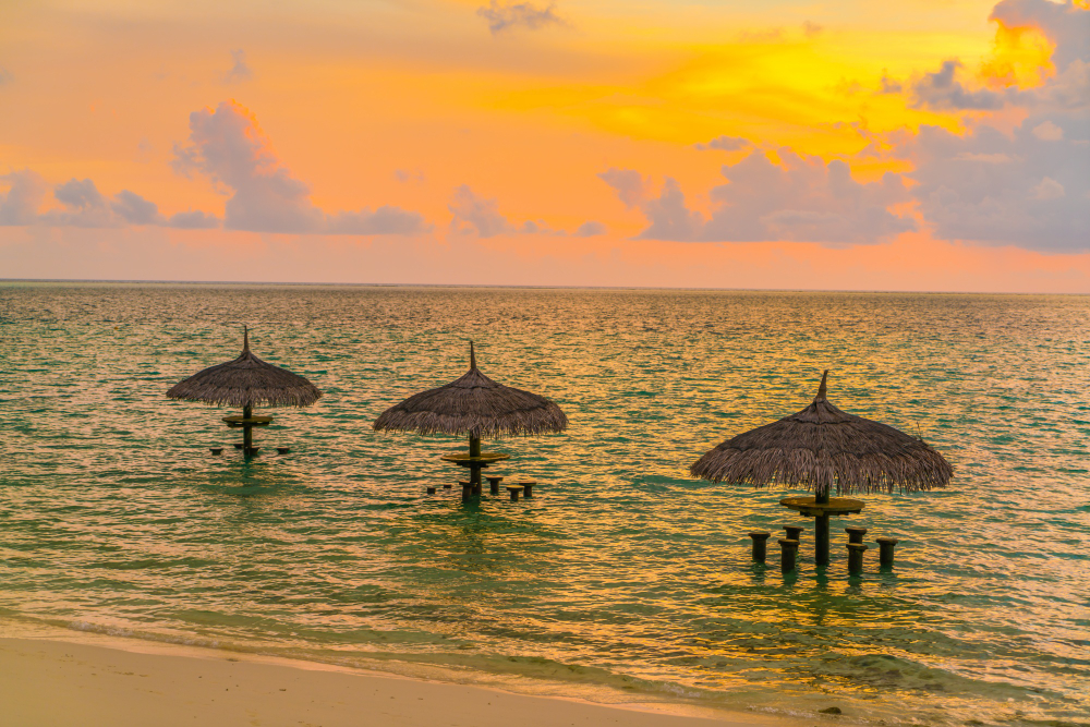 Honeymoon in Sudafrica