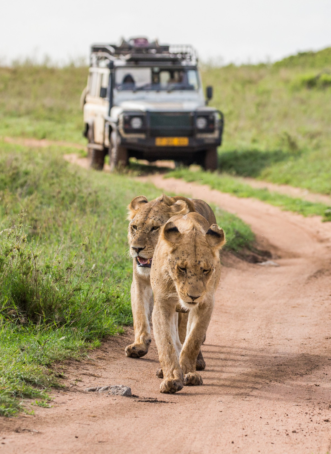 Sulle Tracce dei Big Five