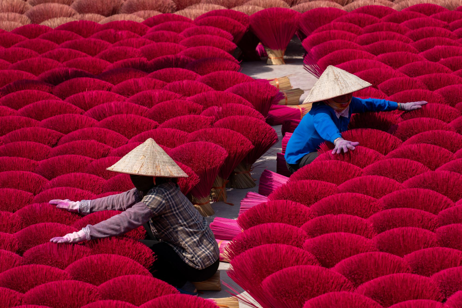 Vietnam del Sud