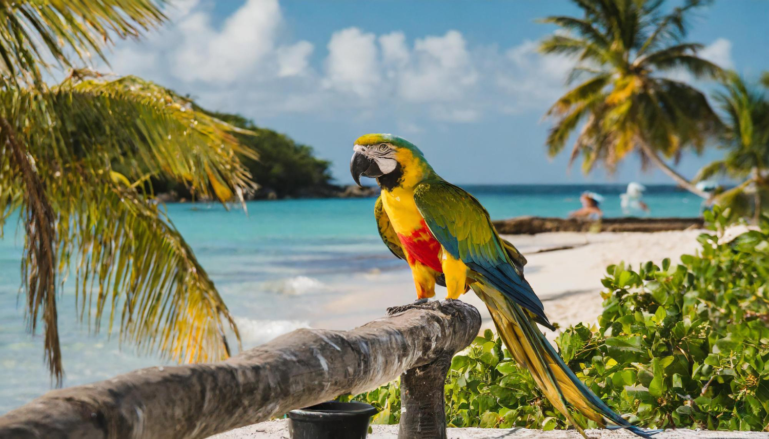 Antigua